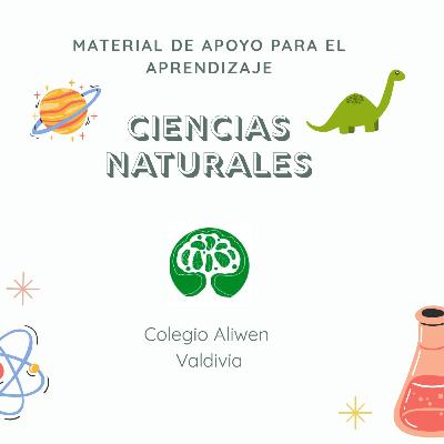 Ciencias Naturales: Estábamos tú y yo allí Ciencias Naturales: Estábamos tú y yo allí