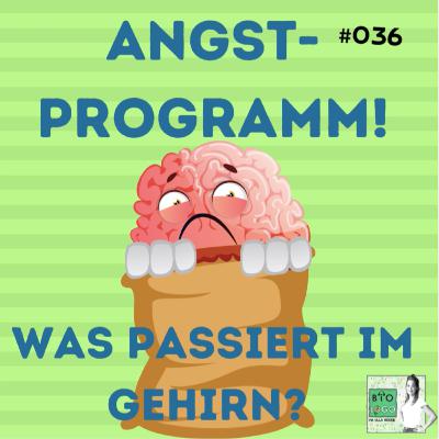 #036 - Wie(so) sind wir "angst-gesteuert"? 😱 - Über die Neurobiologie der Angst