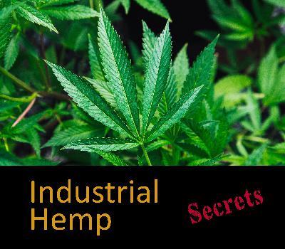 ESR 004 - Industrial Hemp Secrets: Opportunities
