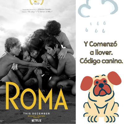 Roma +`Y comenzó a llover" + Codigo canino