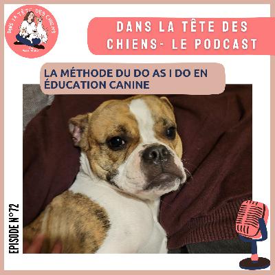 Le Do as I do en éducation canine