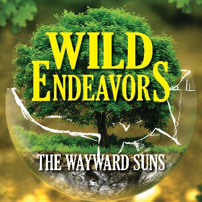 Wayward Suns – Ep.25 – Through a Tower Darkly