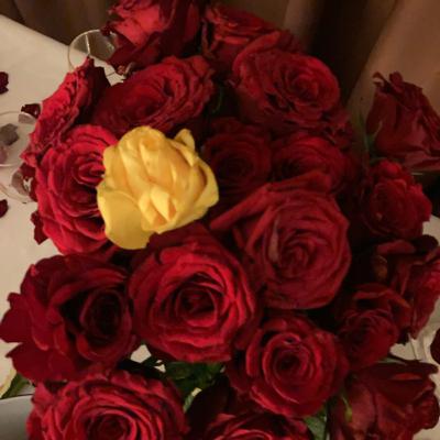 Honeymoon Ep 1 Honeymoon Ep 1