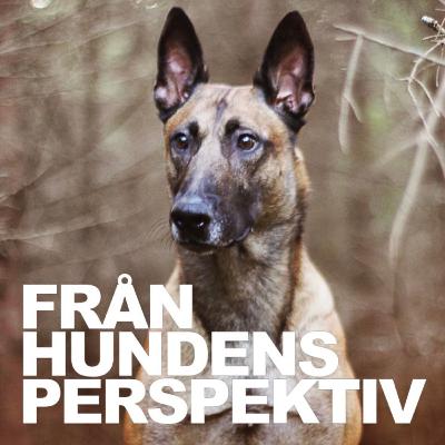 # Problemlösning # Problemlösning