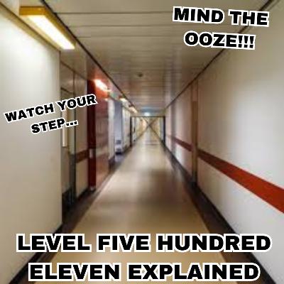 Level Five Hundred Eleven Explained