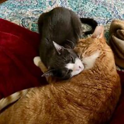 Episode 3008 CWSA 11/04/25