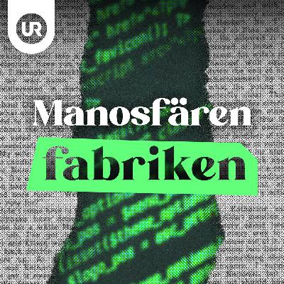 Så används manosfären för att destabilisera demokratin Så används manosfären för att destabilisera demokratin