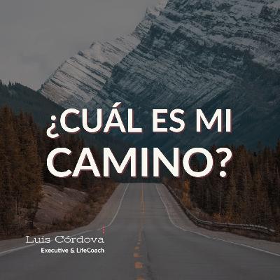 ¿Cuál es mi camino?