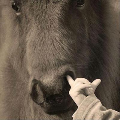 seorang pemuda dan seorang kakek