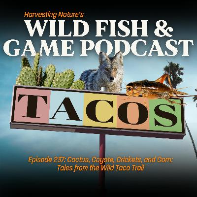Episode 237: Cactus, Coyote, Crickets, and Corn: Tales from the Wild Taco Trail