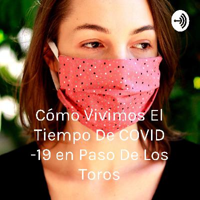 Presencia de Covid -19 en Paso de los Toros. Presencia de Covid -19 en Paso de los Toros.