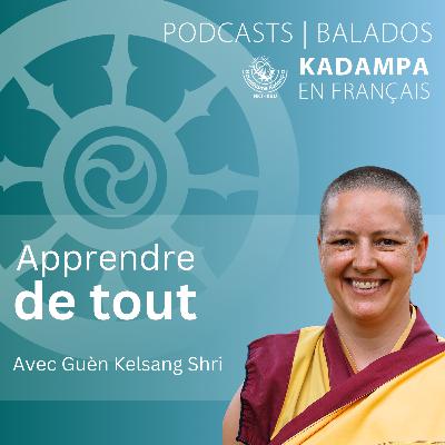 Apprendre de tout