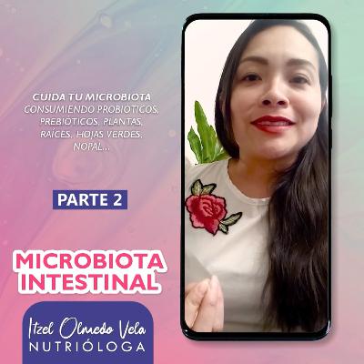La Microbiota Intestinal - Parte 2