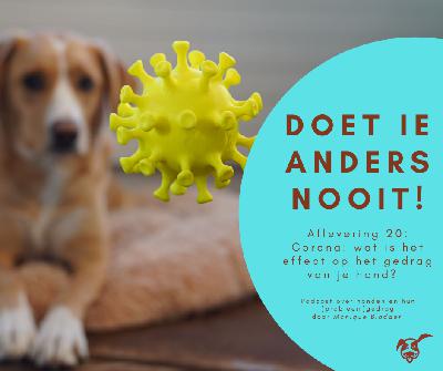 Ep.21: Corona: wat  is het effect op het gedrag van je hond?