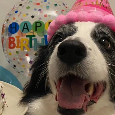 为玩具与妈妈对战