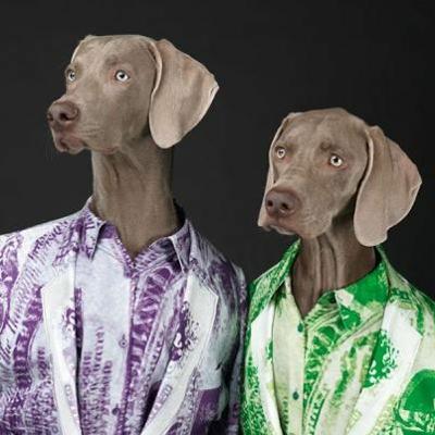 Geoff And Chelsea Podcast EP10 Dogs Are People To
