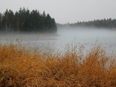 Les mystères douillets