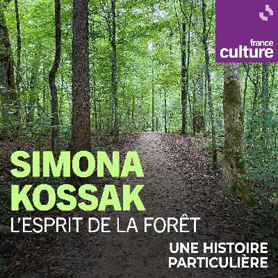 Simona Kossak, l’esprit de la forêt 2/2 : Pour la défense du vivant