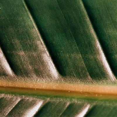 Co najgorszego się może stać? Co najgorszego się może stać?