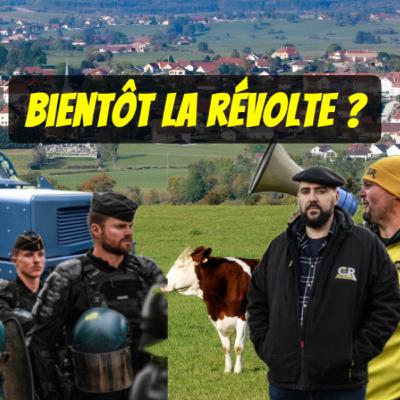 207 vaches abattues pour UNE SEULE malade, le retour de la dictature sanitaire ?