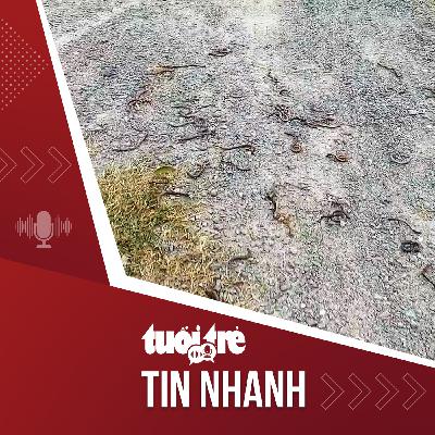 Tin tức tối 2-12: Giun đất chết hàng loạt, cơ quan chuyên môn nói gì?