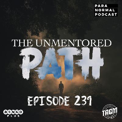 EP 239 - The Unmentored Path