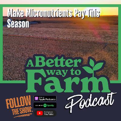 360: Make Micronutrients Pay This Season 360: Make Micronutrients Pay This Season