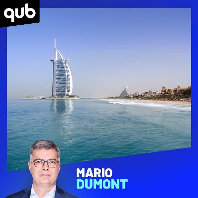 «Vous ne rêvez pas»: un agresseur se la coule douce à Dubaï