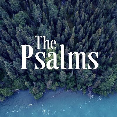 Psalm 33 10-22