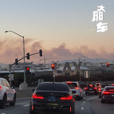 2025洛杉矶山火