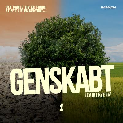 Mere end en opdatering // GENSKABT // Silas Majgaard