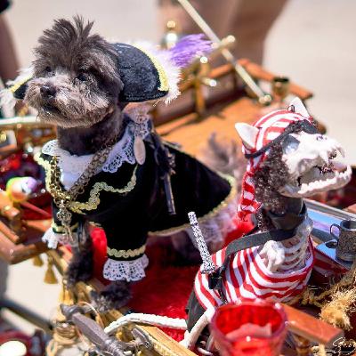 Struggle Bus: Day 94