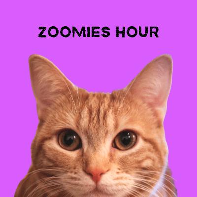 #014 猫たちが思ってそうなこと/猫たちへの話し方/猫に言いがちなワード/猫と猫飼いの一人称問題