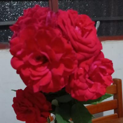 O mundo pós 2° Guerra: Como ficou?