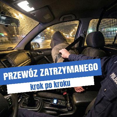 Przewożenie zatrzymanego w radiowozie.