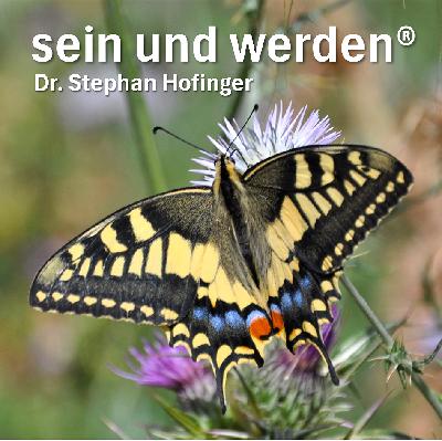 #4 - Verwandlung und Entfaltung #4 - Verwandlung und Entfaltung