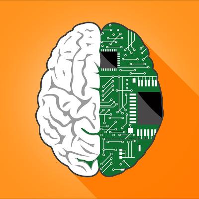 Memória e seus estágios de processamento