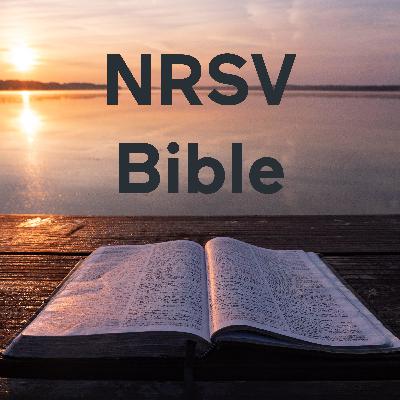 NRSV New Testament NRSV New Testament