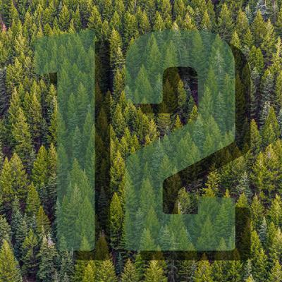 Knight in Blitzing Armor Knight in Blitzing Armor