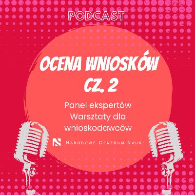 Ocena wniosków w NCN część 2. Panel ekspertów