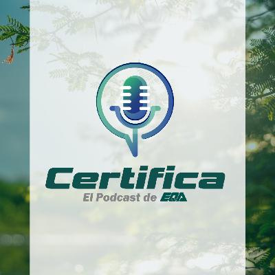 #13. Verificación de Impacto Social de Down Madrid #13. Verificación de Impacto Social de Down Madrid