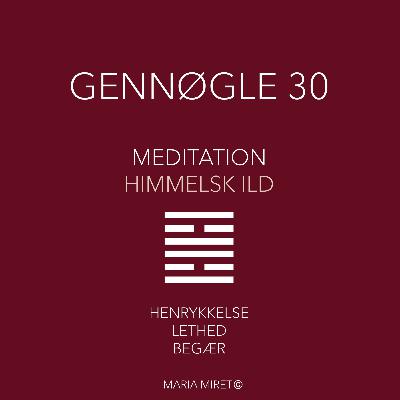Gennøgle 30 Gennøgle 30