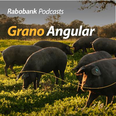 Apoyo al agro....en Estados Unidos e impactos de la Fiebre Porcina en España