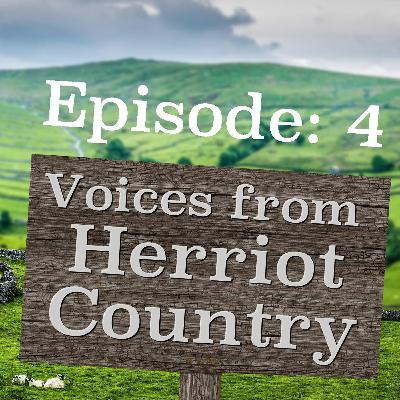 Voices from Herriot Country - Episode 4 - The Lady from Central Asia with a Tale of a Donkey