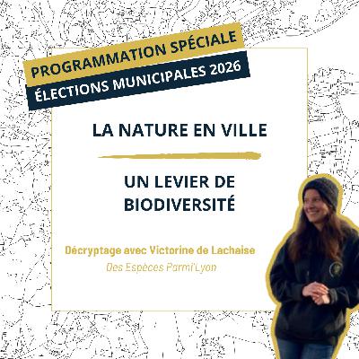 Municipales 2026 : la nature en ville, un levier pour la biodiversité Municipales 2026 : la nature en ville, un levier pour la biodiversité