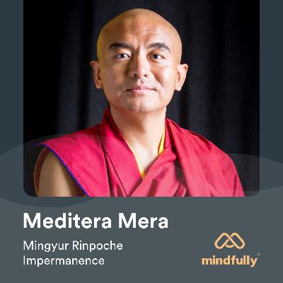 Mingyur Rinpoche - About meditation & impermanence