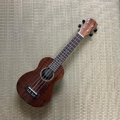 ウクレレ練習するだ ウクレレ練習するだ