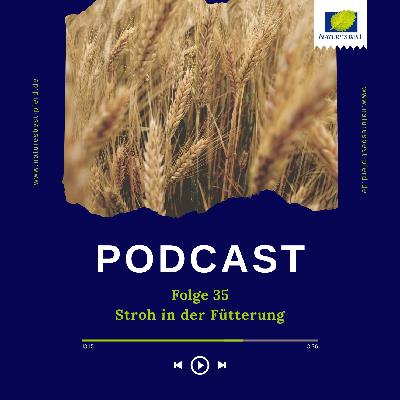 #35 Stroh in der Pferdefütterung #35 Stroh in der Pferdefütterung
