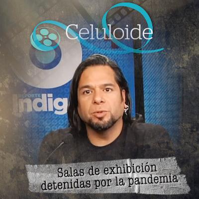¿Cómo han sobrevivido las salas de exhibición durante la pandemia? ¿Cómo han sobrevivido las salas de exhibición durante la pandemia?
