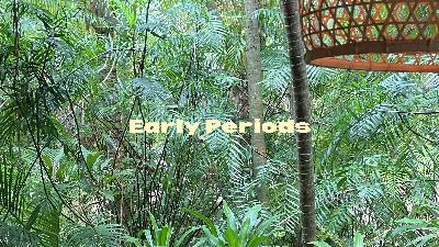 Early Periods